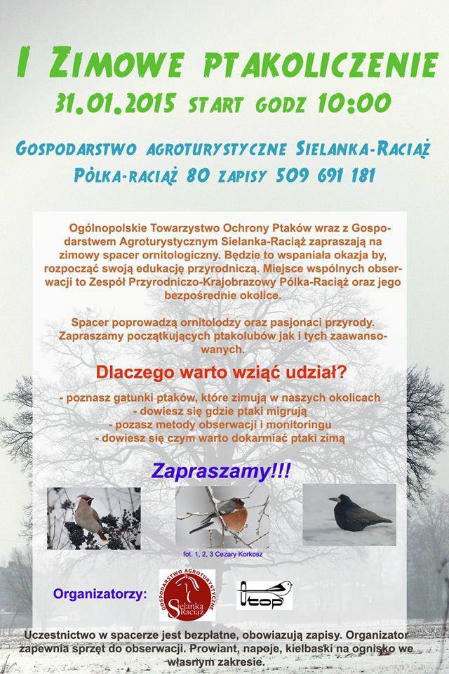 W niedzielę I Zimowe Ptakoliczenie