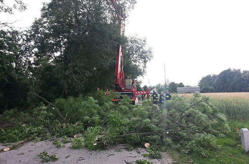 Kolejna burza z wichurą przeszła nad powiatem ciechanowskim (zdjęcia)