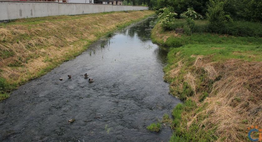 Kajaki na Łydyni - ruszyła realizacja projektu. Kiedy pierwszy spływ?