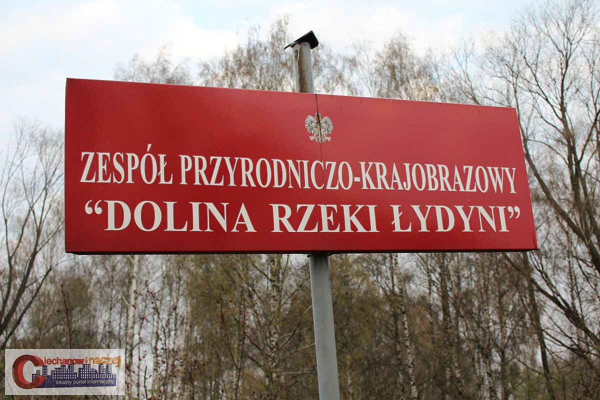 Miasto zainwestuje w zielone płuca w centrum Ciechanowa