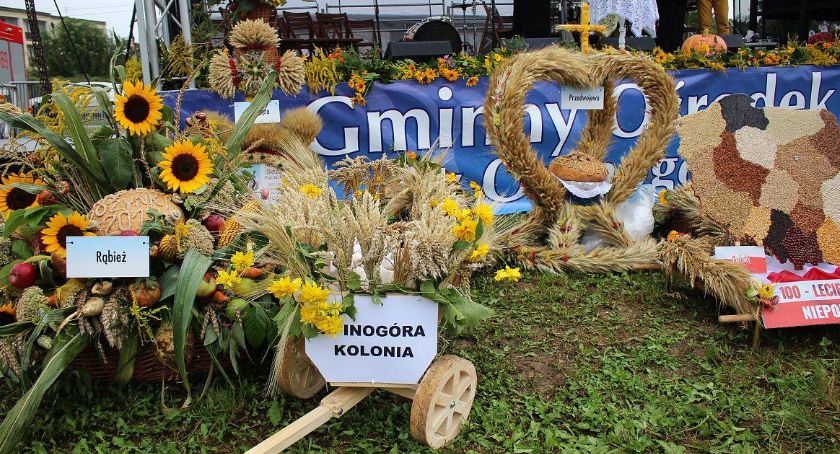 Dożynki 2019 w gminie Opinogóra Górna [program imprezy]