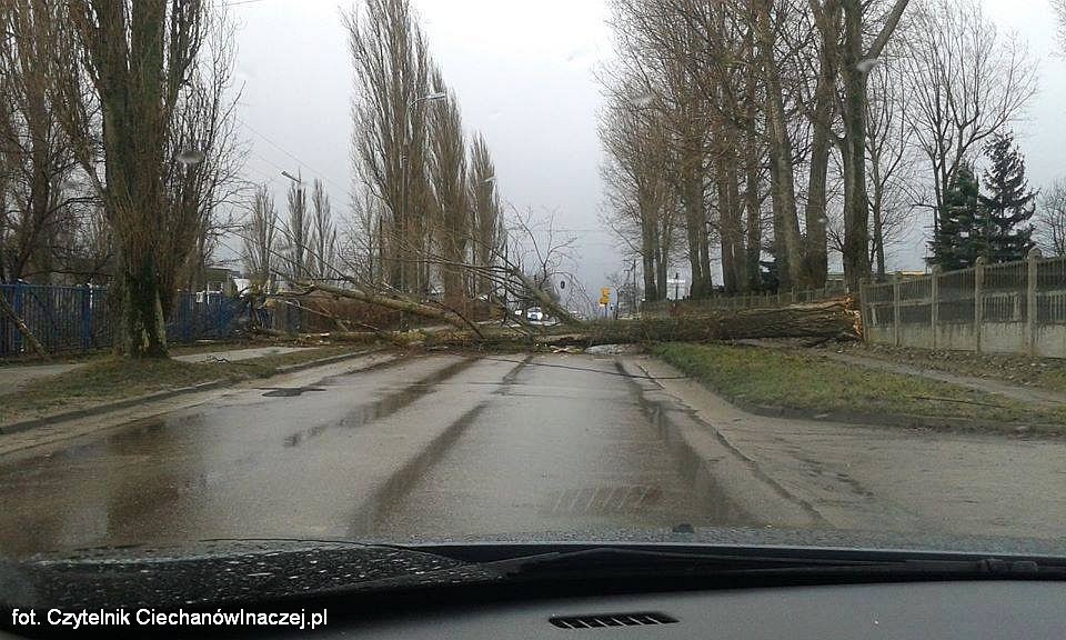 Liczenie strat po wichurach w powiecie ciechanowskim (zdjęcia)