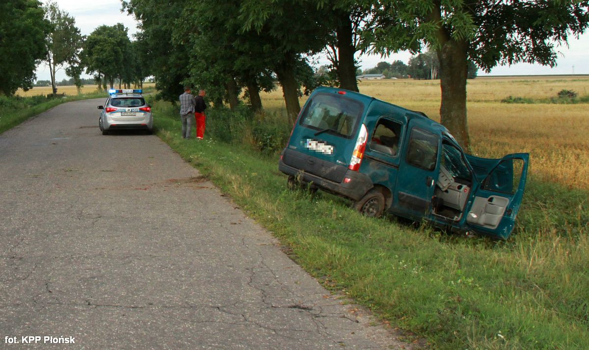 U sąsiadów: Renault uderzyło w drzewo. Jedna osoba ranna