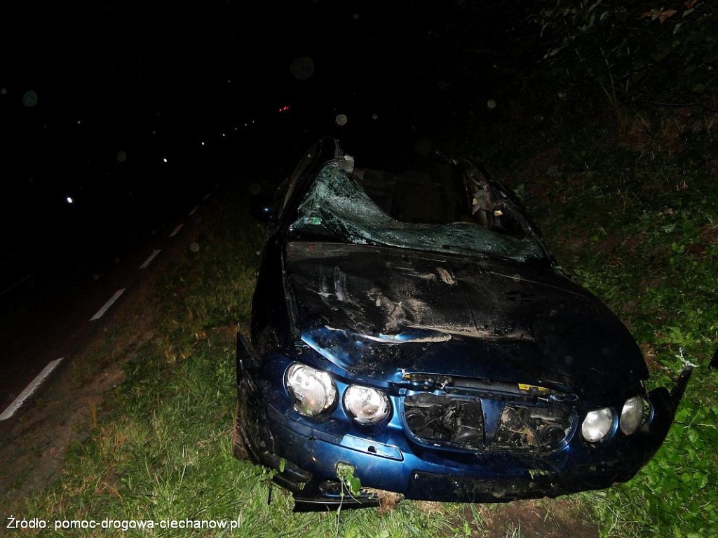 Tragedia pod Ciechanowem: 23-latek uderzył autem w łosia, zmarł w szpitalu (akt.)