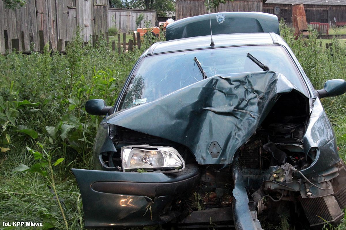 Renault uderzyło w drzewo. Ranna 4-latka, jej ojciec nie wezwał ratowników