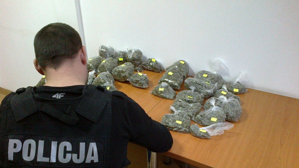 Narkotyki w rękach ciechanowskich policjantów