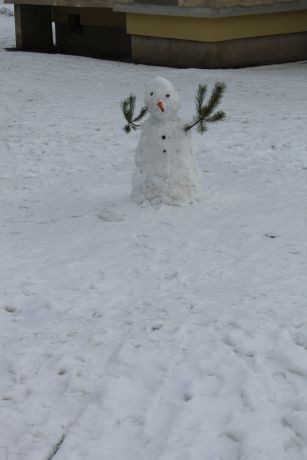 SZUKAMY BAŁWANÓW!!! - AKTUALIZACJA - PIERWSZE ZDJĘCIA JUŻ SĄ