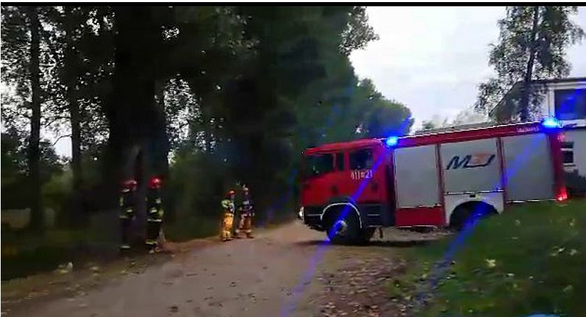 Pożar w ciechanowskim parku [wideo]