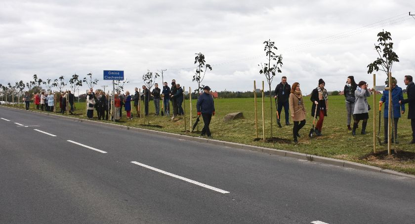 Zasadzili ponad 100 drzew wzdłuż pętli miejskiej