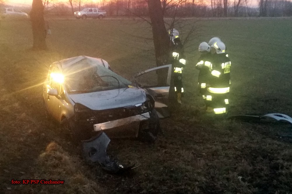 Opel uderzył w drzewo. W samochodzie była uwięziona kobieta (zdjęcia)