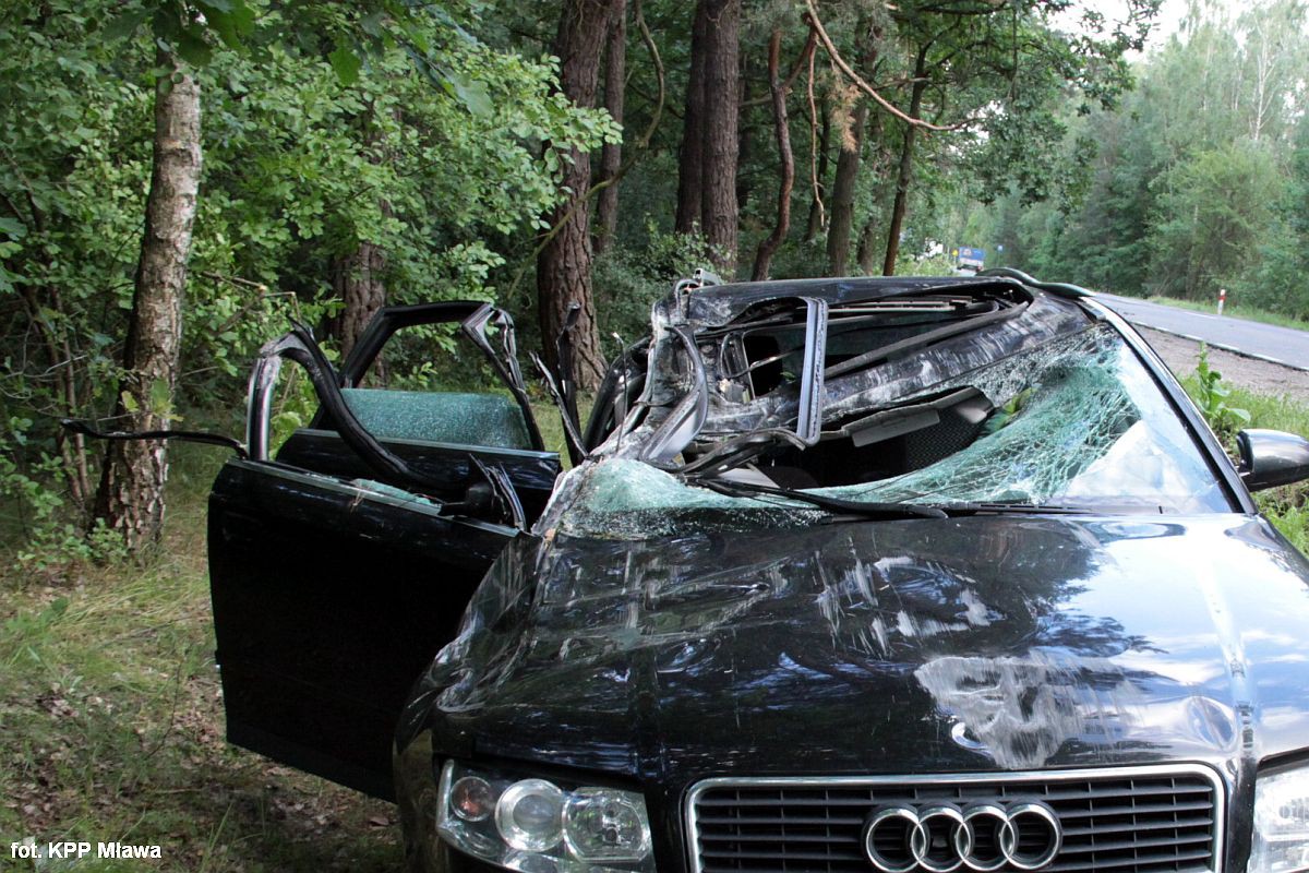 Konar spadł na jadący samochód. Ranne dwie osoby