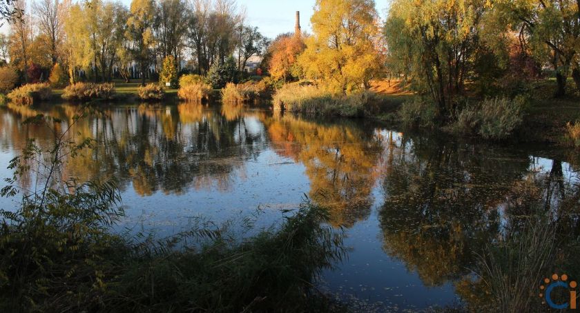 Kanały zmienią swoje oblicze. Miasto chce m.in. wybudować amfiteatr