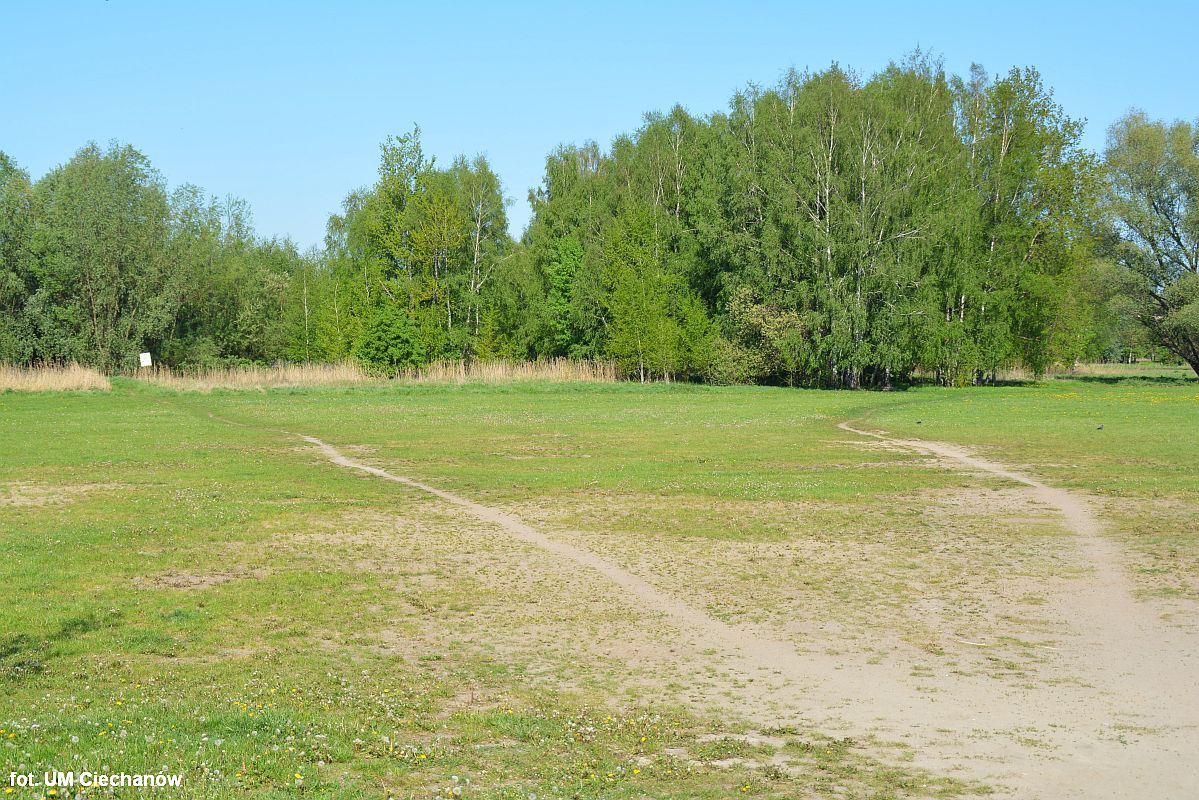 Ciechanów pozyskał blisko 90 tys. zł na działania ekologiczne
