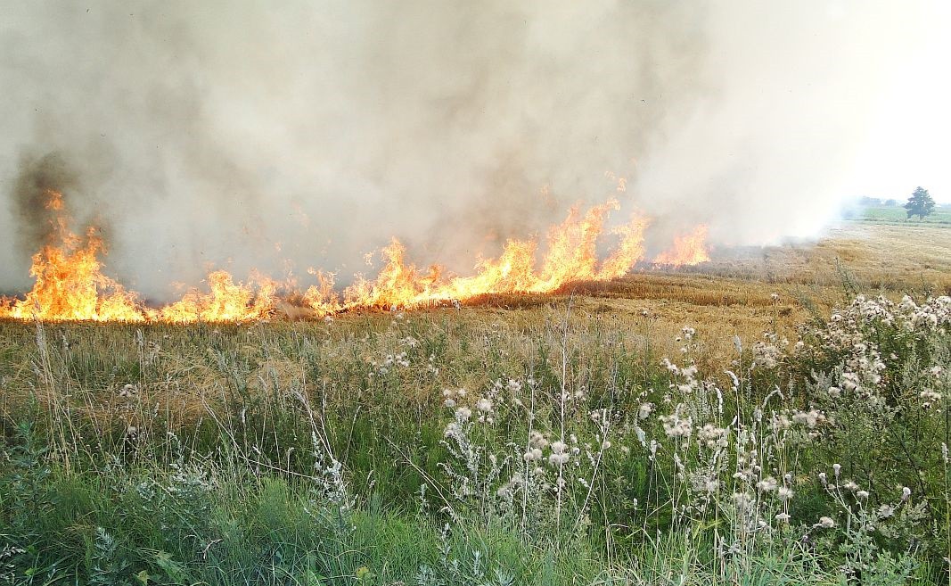 Pożary w okolicach Ciechanowa. Obowiązuje najwyższy stopień zagrożenia pożarowego (zdjęcia)