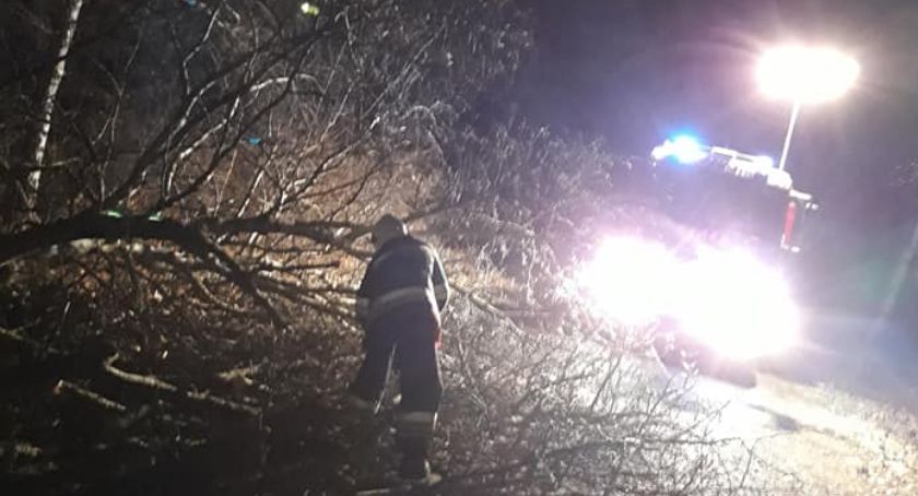 Drzewo runęło na drogę w powiecie ciechanowskim