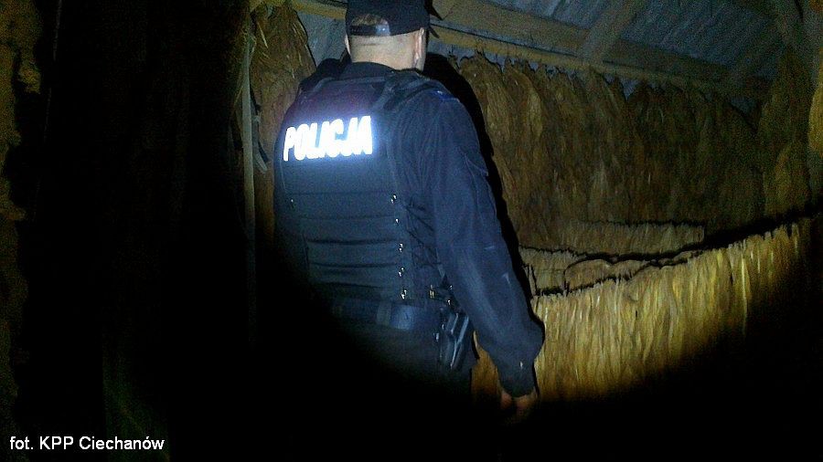 Ukradli 300 kg liści tytoniu. Złodziej i paser już z zarzutami (zobacz zdjęcia)
