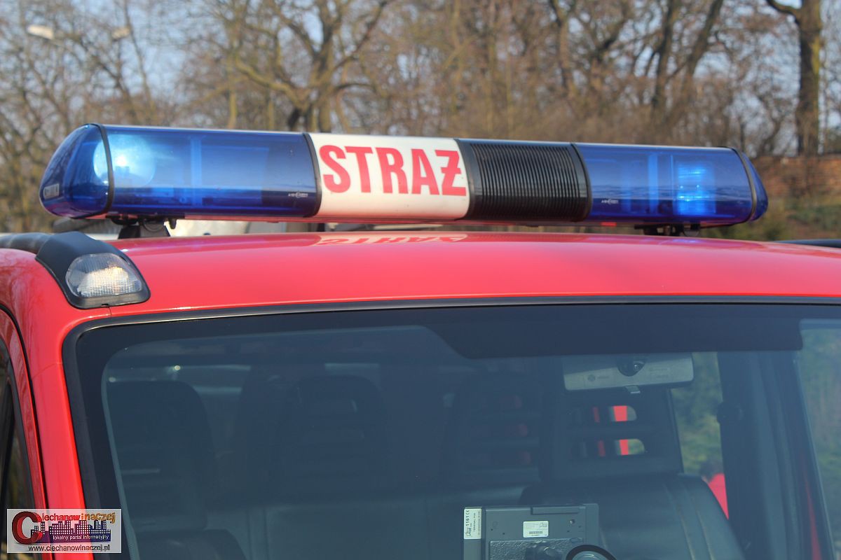 Interwencje strażaków: osy w przedszkolu, pożary pod Ciechanowem
