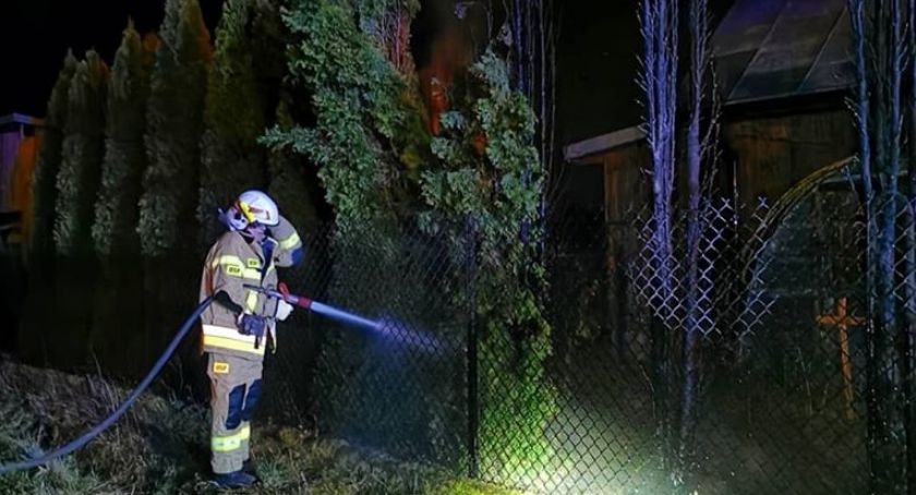 Wybiła północ i ... spłonęły drzewa