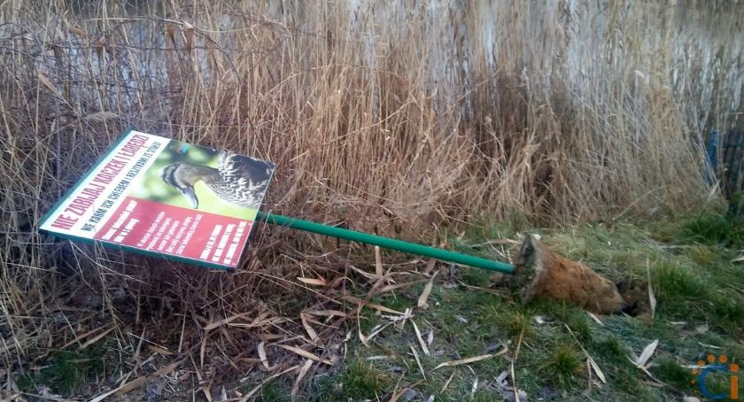 Wasze Info: Obraz Kanałów po sylwestrowej nocy [zdjęcia]