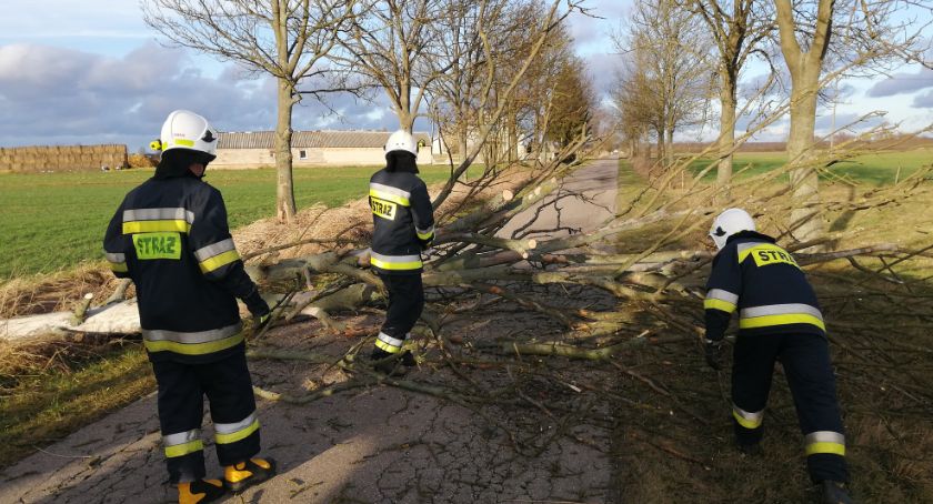 Powiało w powiecie ciechanowskim. Strażacy usuwali skutki silnego wiatru