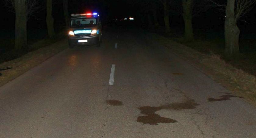 Leżał na środku drogi. Reakcja ciechanowianki zapobiegła tragedii