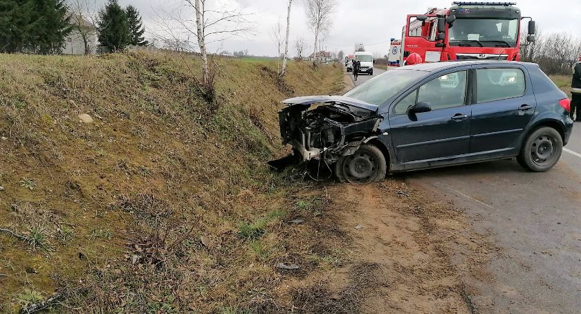 Chciała ominąć psa, rozbiła samochód [zdjęcia]