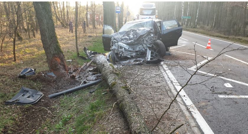 Citroen uderzył w drzewo. Dwie osoby były zakleszczone w aucie [zdjęcia]