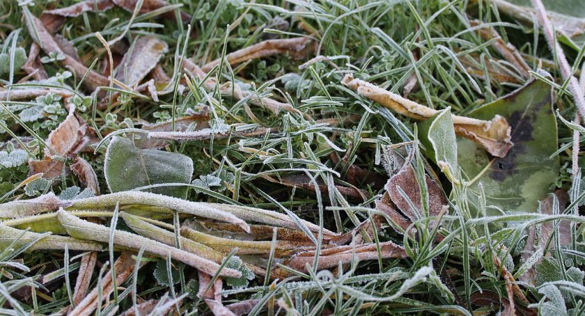 Ostrzeżenie meteorologiczne w powiecie ciechanowskim