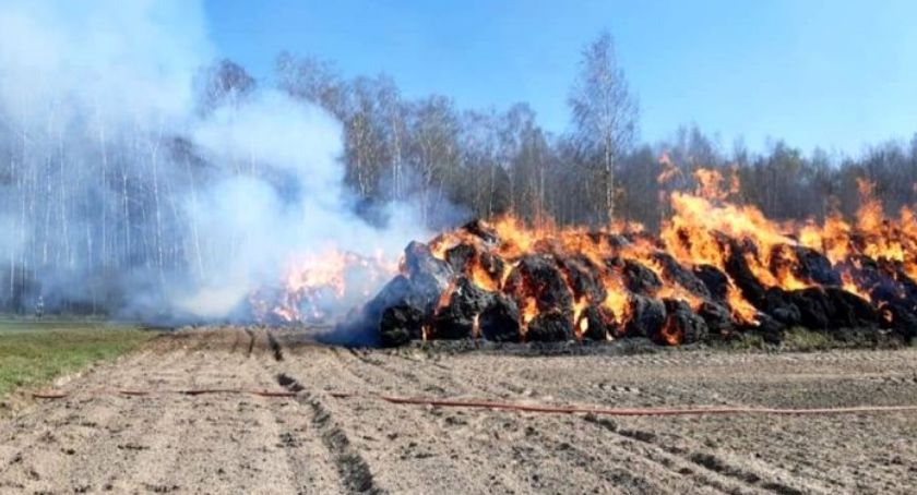 Ponad 6 godzin gasili pożar pod Ciechanowem [zdjęcia]