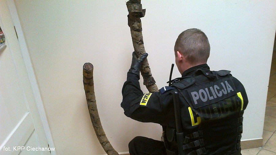 Ukradli kabel ze szlaku kolejowego. Odpowiedzą też za posiadanie narkotyków (zdjęcia)