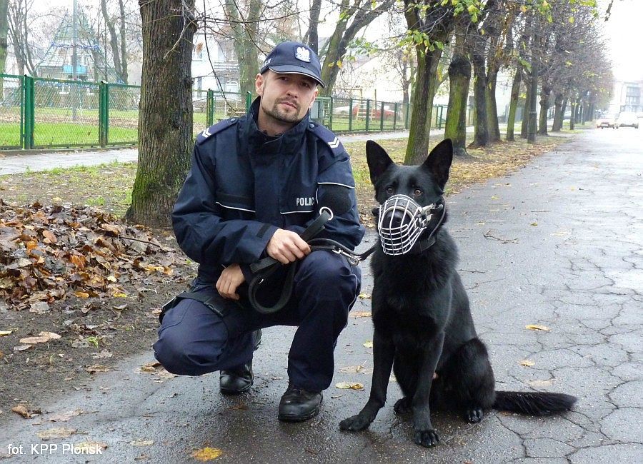 Nowy 