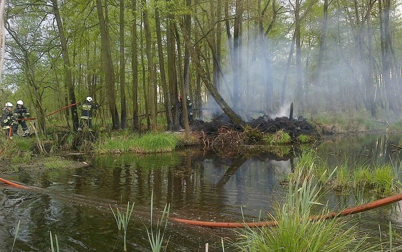 Nietypowa akcja strażaków. Uratowali ptasie siedliska