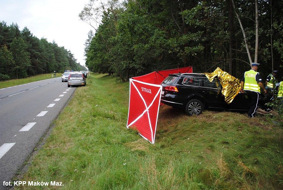 Tragiczny wypadek u sąsiadów: Passat uderzył w łosia. Zginął kierowca