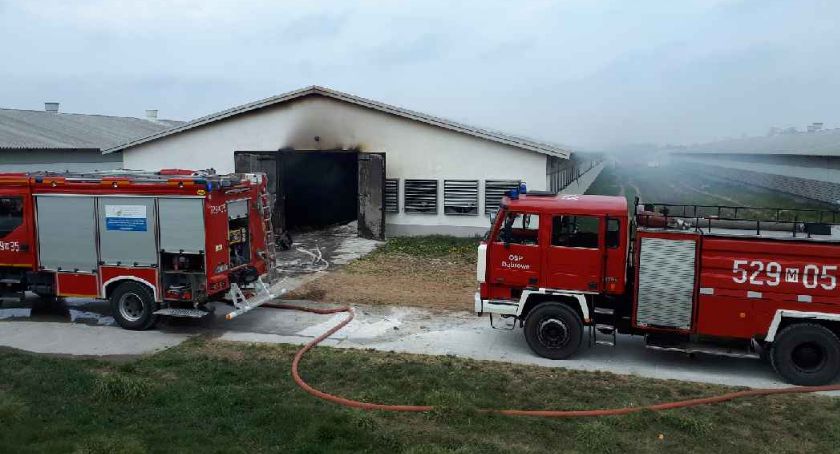 Pożary kurników. Straty wynoszą blisko 2 mln zł [zdjęcia]