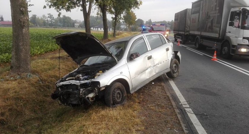 Opel wjechał do rowu i uderzył w drzewo (zdjęcia)