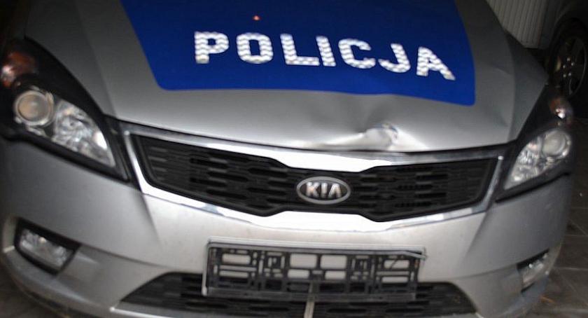 U sąsiadów: 22-latek omal nie potrącił interweniującej policjantki. Ucieczkę zakończył na drzewie