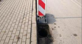 Stwarzają zagrożenie dla kierowców. Złodzieje na drodze powiatowej pod Ciechanowem [zdjęcia]