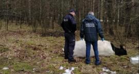 Tragiczne zdarzenie. Zmarł mężczyzna zaatakowany przez byka