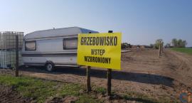 Wasze Info: Grzebowisko padłego na ptasią grypę drobiu powstaje pod Gołyminem. W nocy mieszkańcy blokowali pierwsze transporty [zdjęcia]