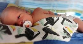 Walczą o życie małego Antosia spod Ciechanowa. Potrzebują miliona złotych