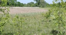 Bloki na Krubinie: stowarzyszenie i ekspert nie zostawili suchej nitki na raporcie 