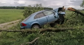 Tragiczny wypadek pod Glinojeckiem [zdjęcia]