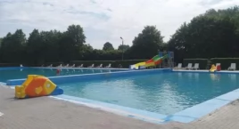 Wasze Info: Lis utonął w ciechanowskim basenie [wideo]