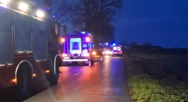 Z ostatniej chwili: Drzewa runęły na drogi, trzy auta rozbite. Dwa groźne zdarzenia pod Ciechanowem