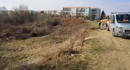 Wycinka na Jeziorku. Ruszyły prace przy zagospodarowaniu terenu