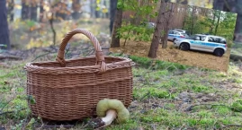 Małżeństwo zgubiło się podczas grzybobrania. Akcja p…