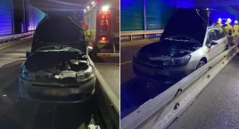 Nocne zderzenie auta z łosiem. Ranny kierowca, zwier…