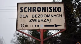 Pilne! Kierownik schroniska w Pawłowie złożyła rezygnację