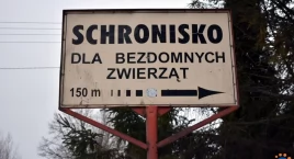 Jest nowa kierowniczka schroniska dla bezdomnych zwierząt w Pawłowie