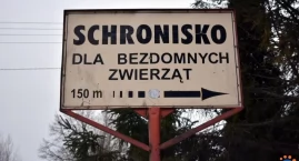 Zaskakujący ruch nowej kierowniczki schroniska w Pawłowie. Pracowała tylko jeden dzień
